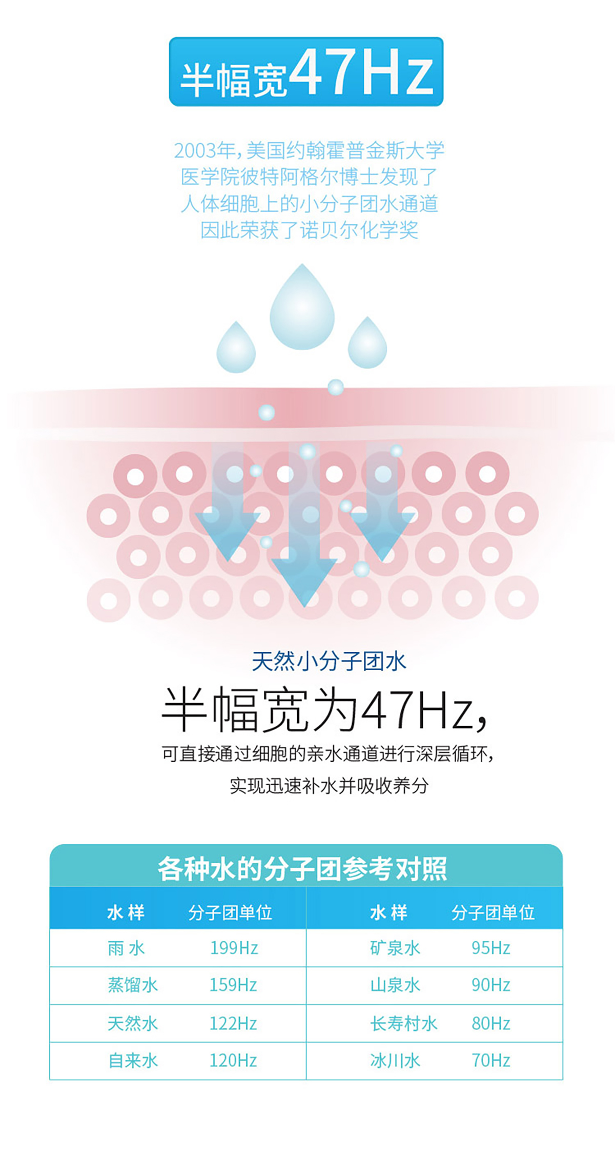 390详情_14.jpg