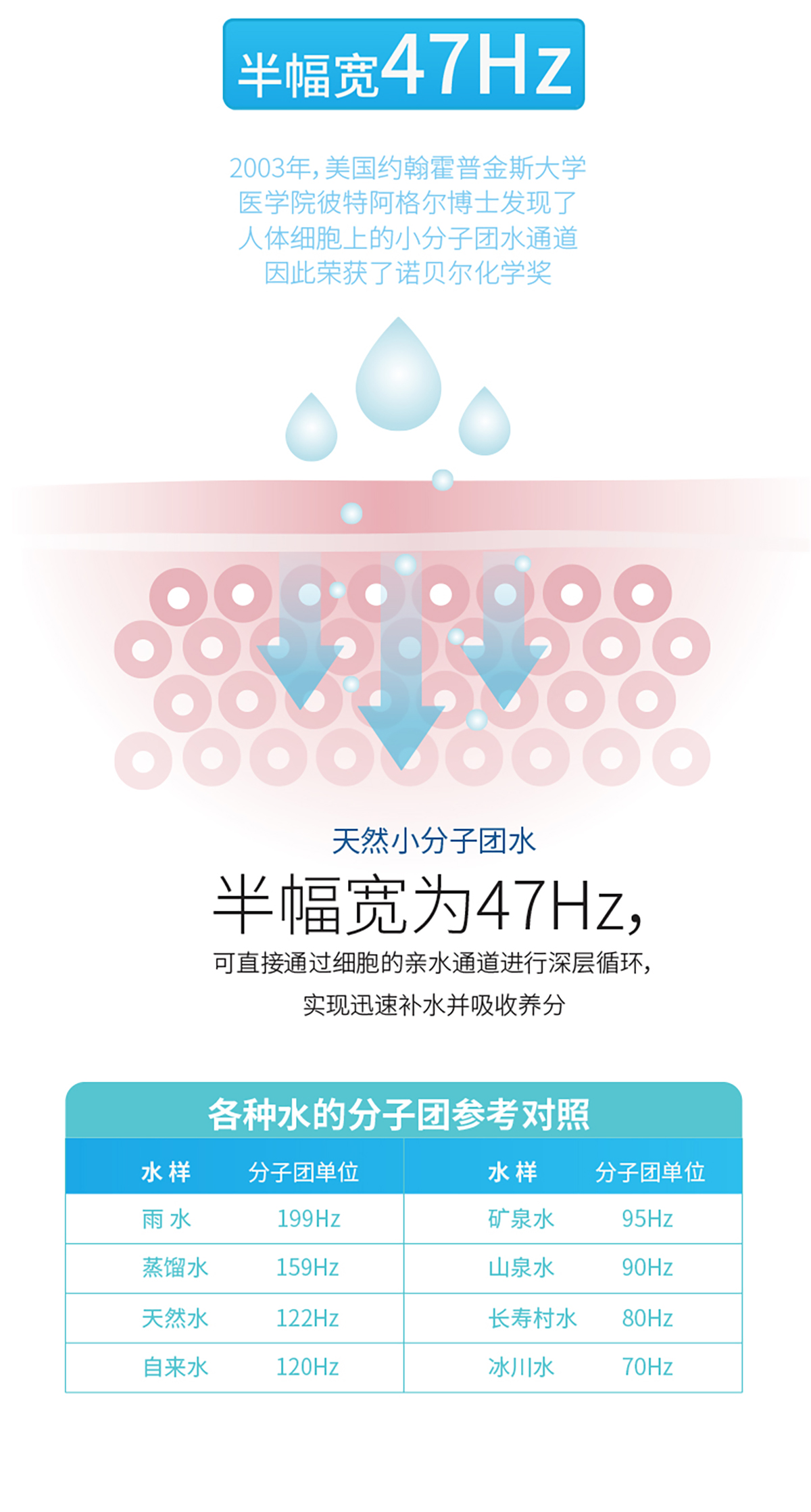 390详情巴拜泉_15.jpg
